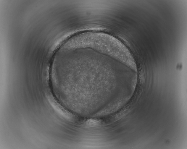 X0000114690350200911121523