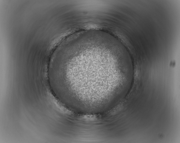 X0000114690353200911121523