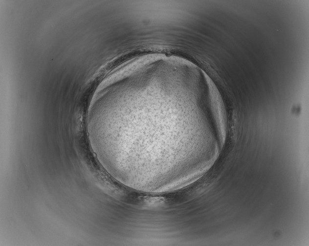 X0000114690355200911121523