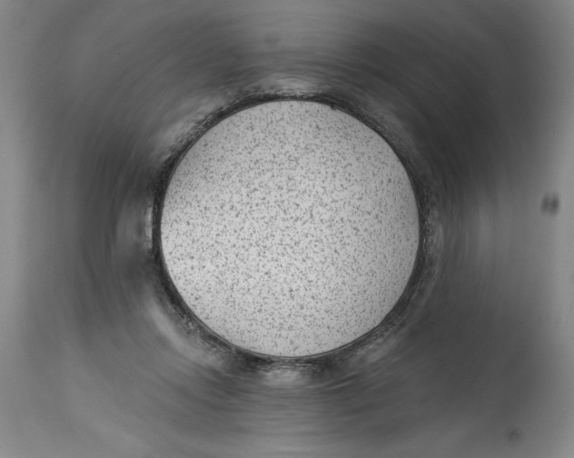 X0000114690358200911121523