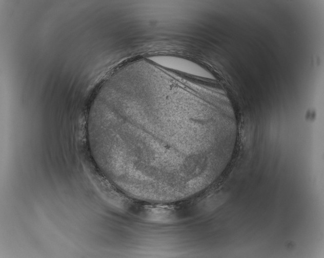 X0000114690359200911121523