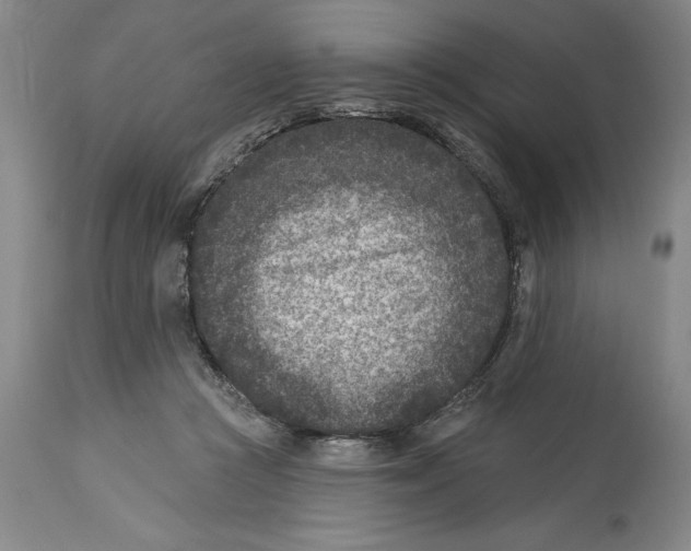 X0000114690361200911121523