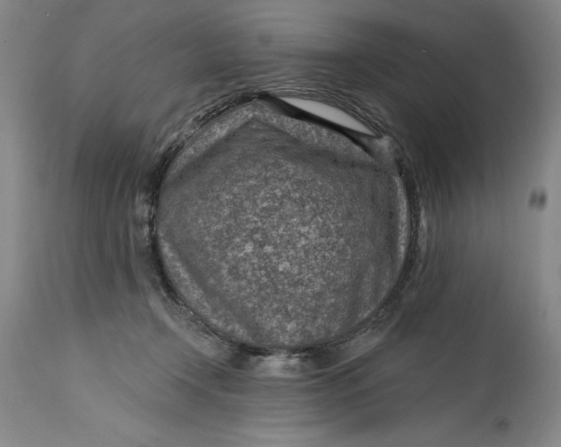 X0000114690366200911121523