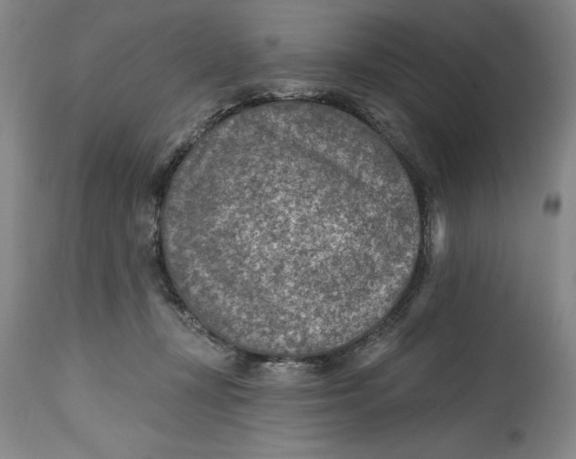 X0000114690367200911121523