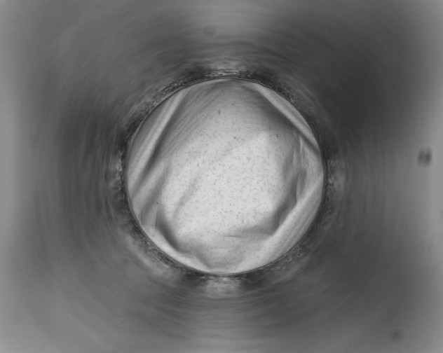 X0000114690369200911121523