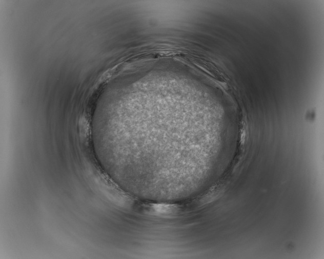 X0000114690371200911121523