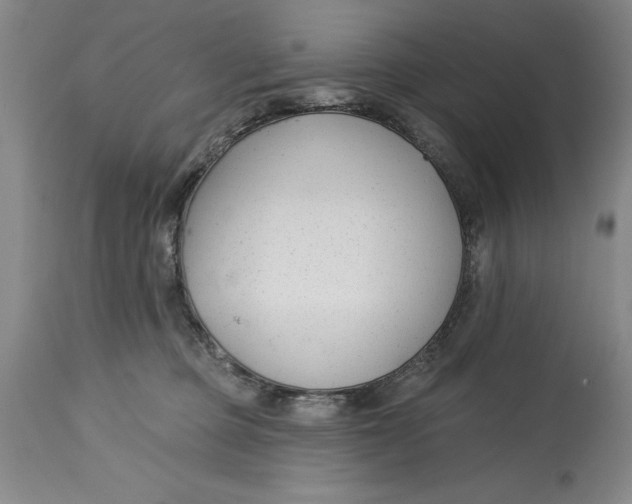 X0000114690373200911121523