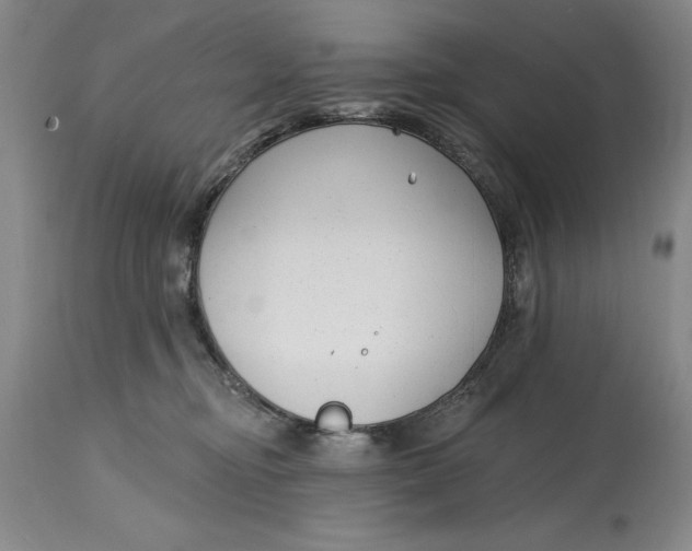 X0000114690374200911121523