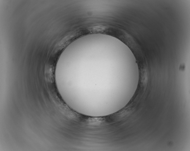 X0000114690378200911121523