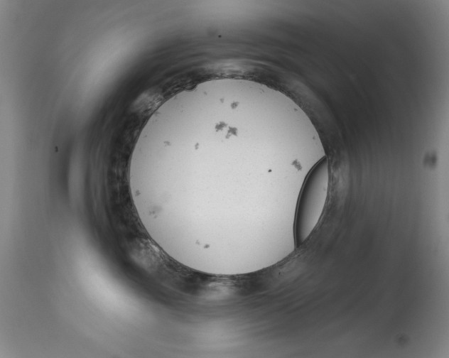 X0000114690381200911121523