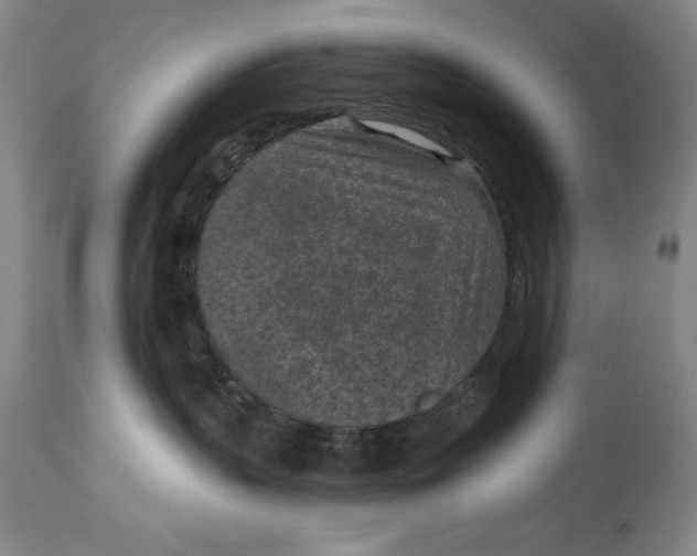 X0000114690383200911121523