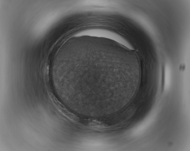 X0000114690387200911121523