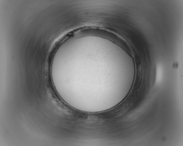 X0000114690388200911121523