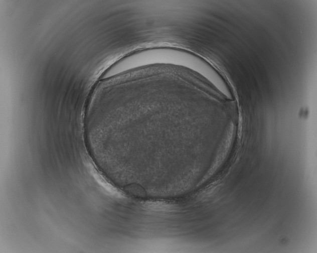 X0000114690389200911121523