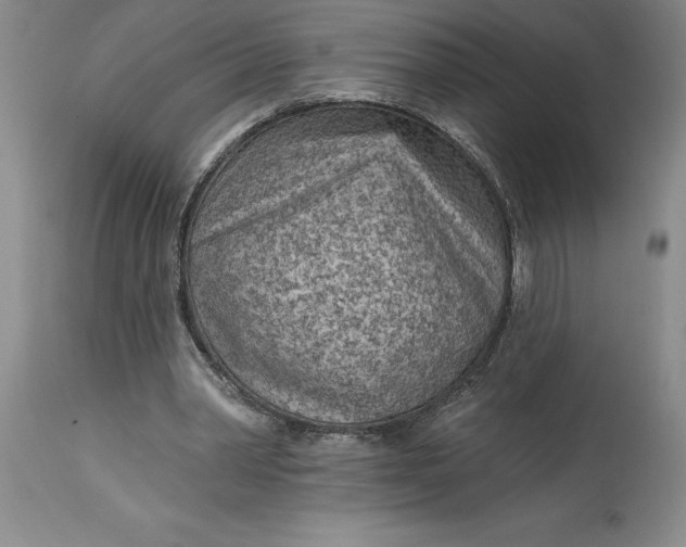 X0000114690390200911121523