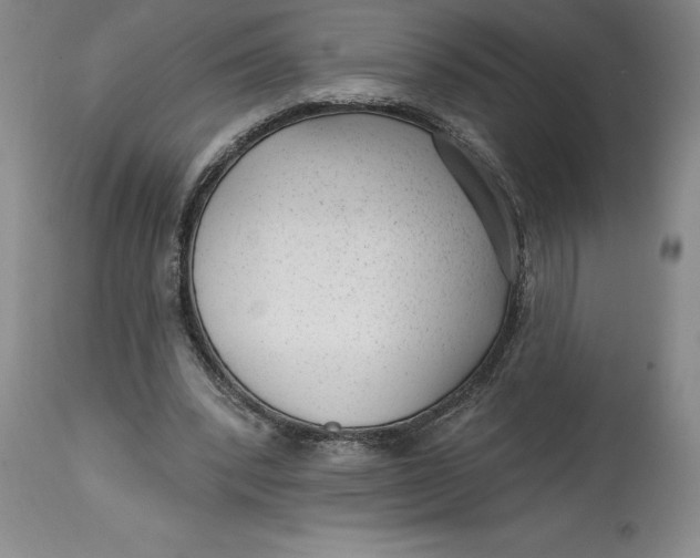 X0000114690392200911121523