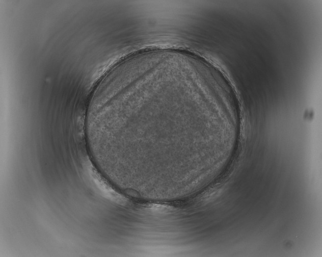 X0000114690393200911121523