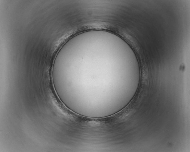 X0000114690394200911121523