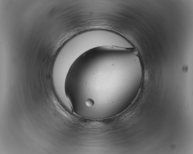 X0000114690397200911121523