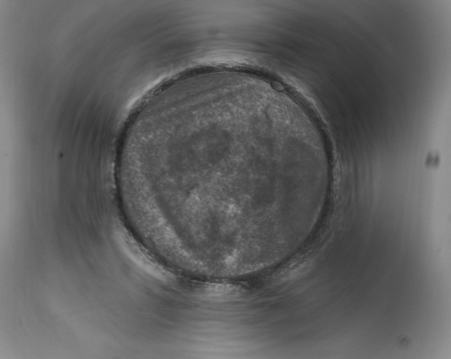 X0000114690399200911121523