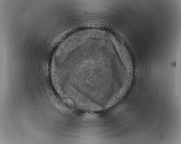 X0000114690403200911121523