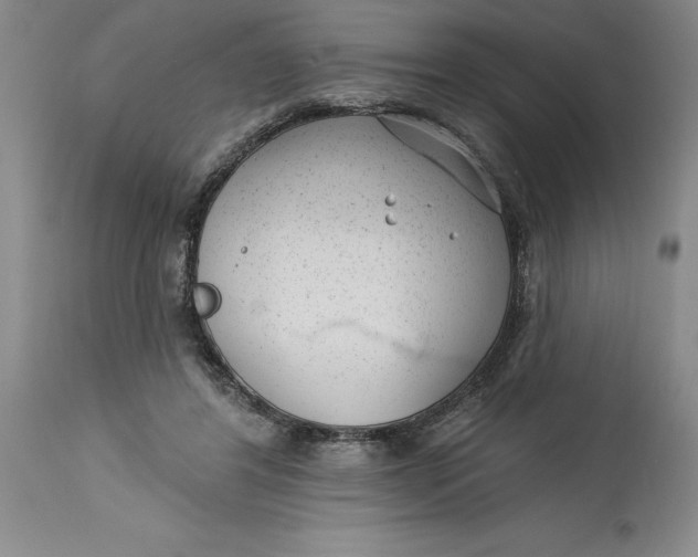 X0000114690404200911121523