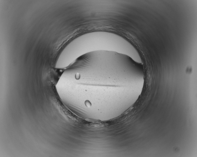 X0000114690405200911121523