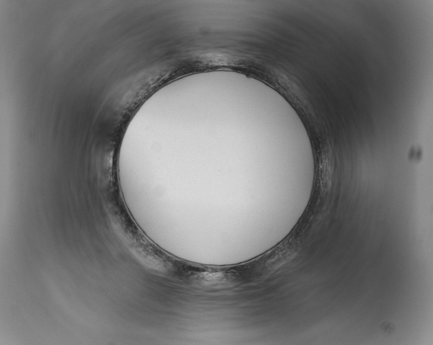 X0000114690406200911121523