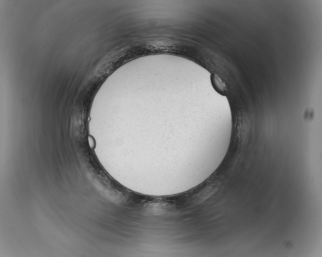 X0000114690408200911121522