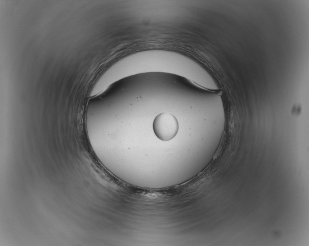 X0000114690409200911121522