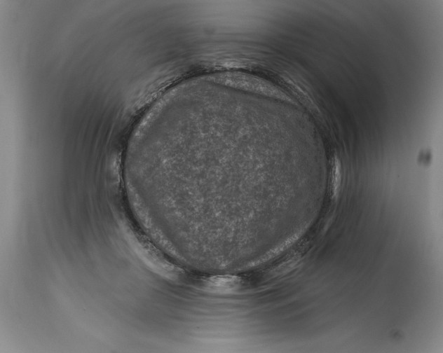 X0000114690410200911121522