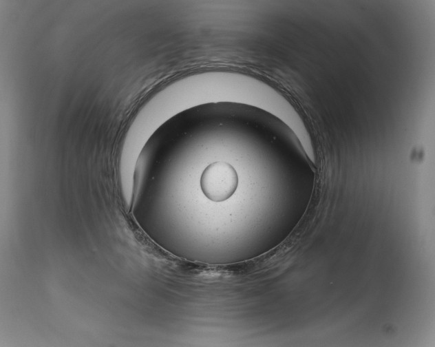 X0000114690415200911121522