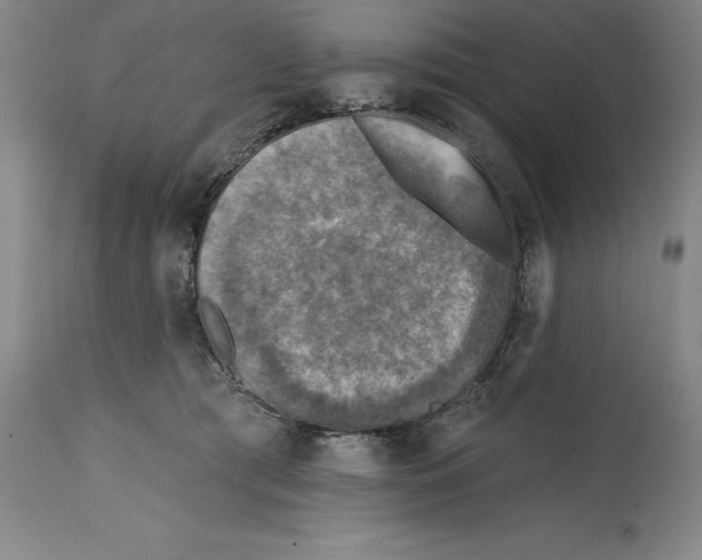 X0000114690417200911121522