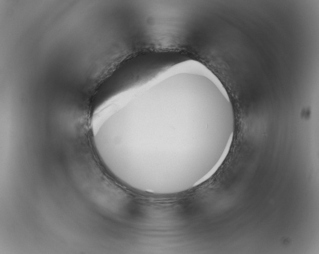 X0000114690419200911121522