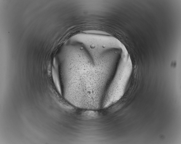 X0000114690421200911121522