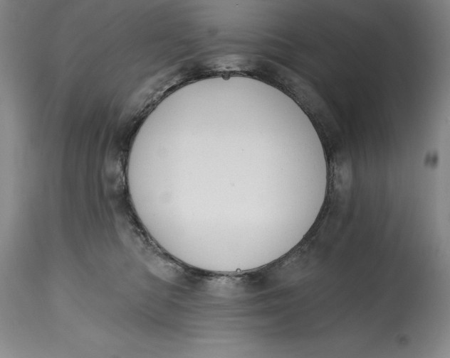 X0000114690422200911121522