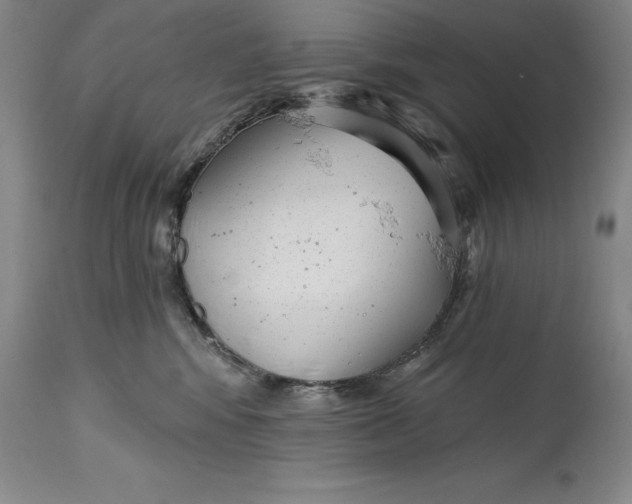 X0000114690424200911121522