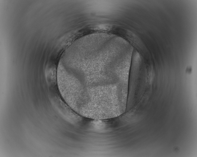 X0000114690425200911121522