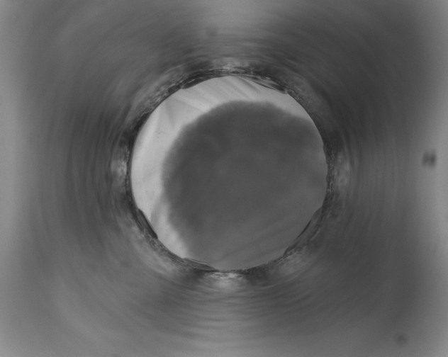 X0000114690427200911121522