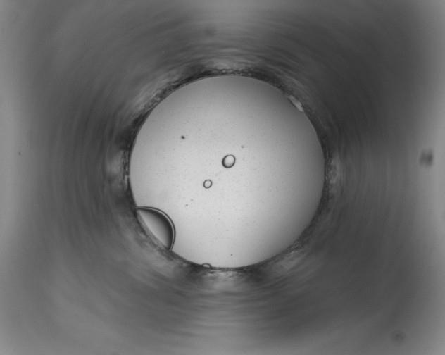 X0000114690428200911121522