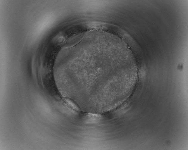 X0000114690429200911121522