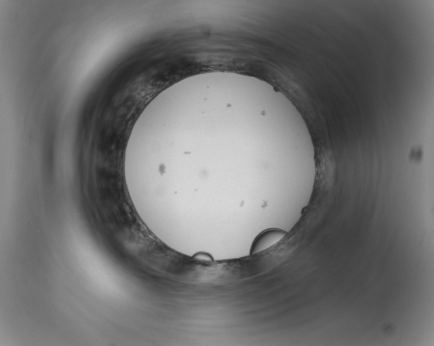 X0000114690430200911121522