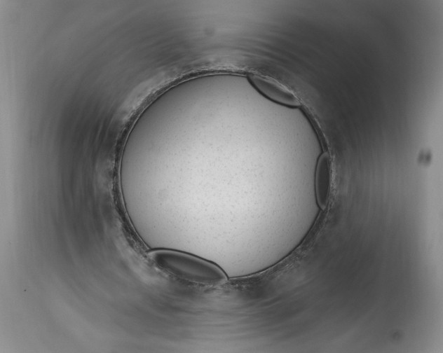 X0000114690434200911121522