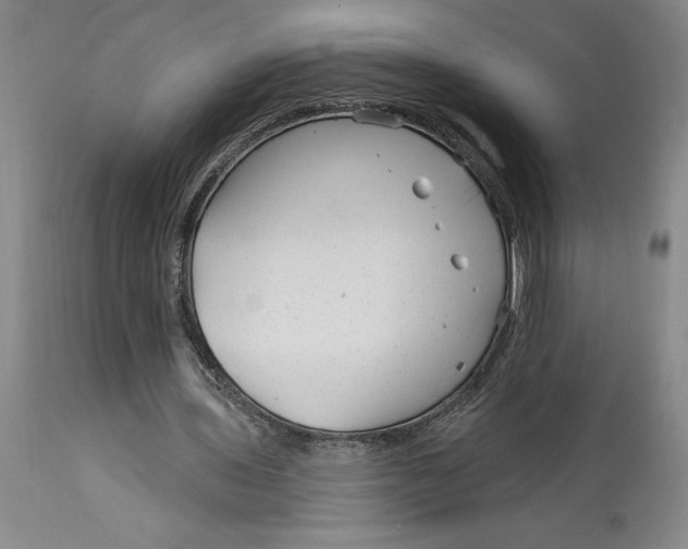 X0000114690435200911121522