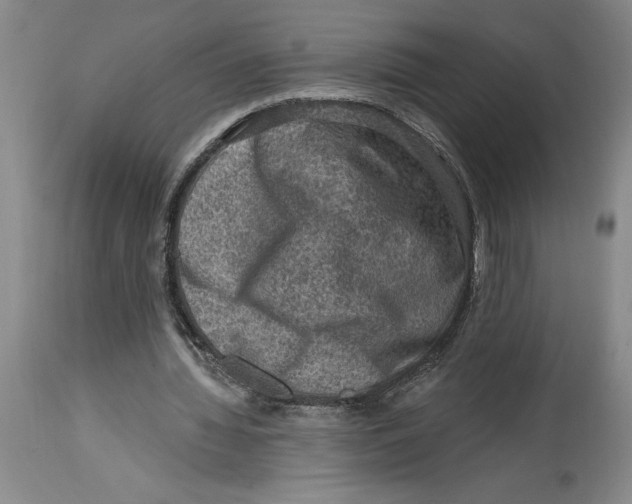 X0000114690436200911121522