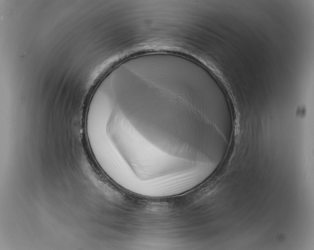 X0000114690438200911121522