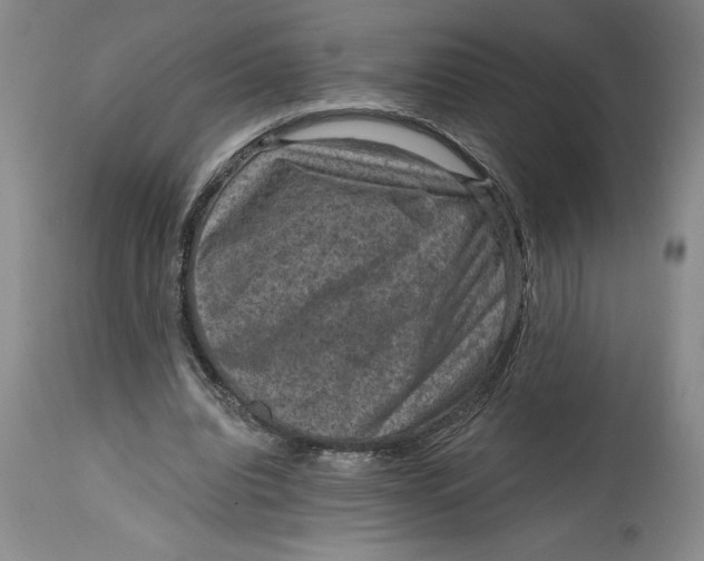 X0000114690440200911121522