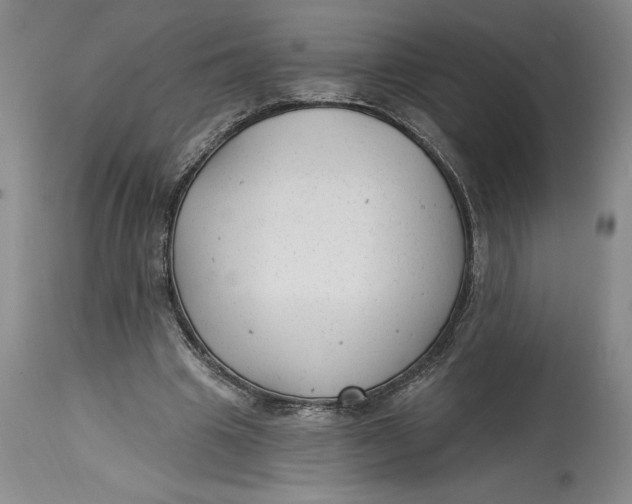 X0000114690441200911121522