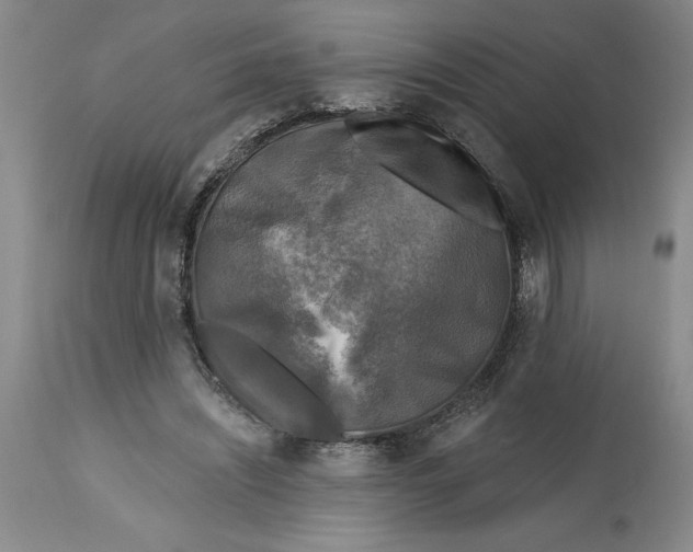 X0000114690444200911121522