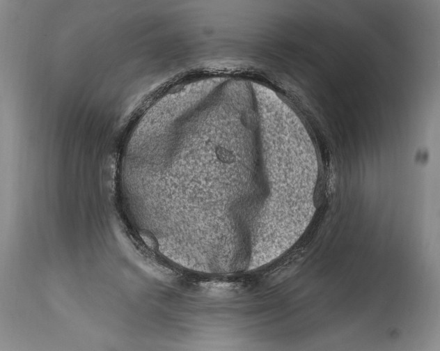 X0000114690448200911121522